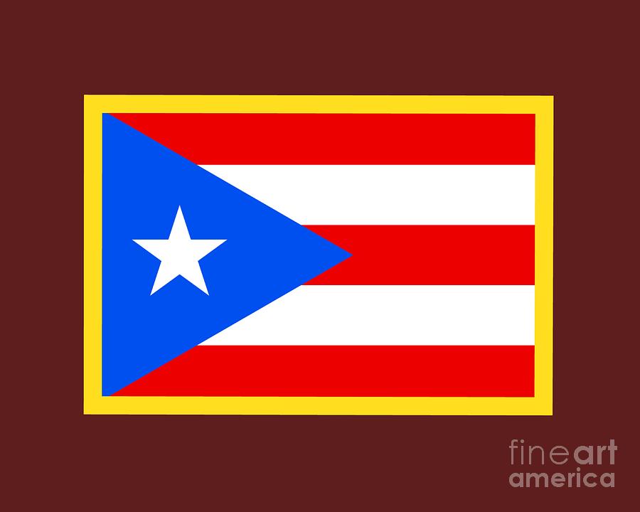 Flag Digital Art - Puerto Rico Flag #3 by Frederick Holiday