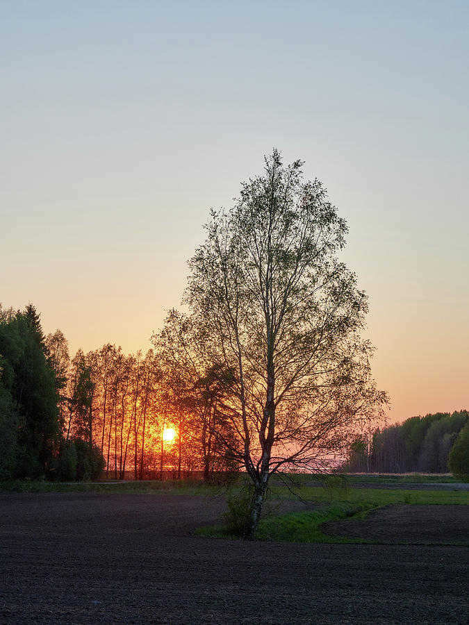 Puurijarvi sunset #3 Photograph by Jouko Lehto