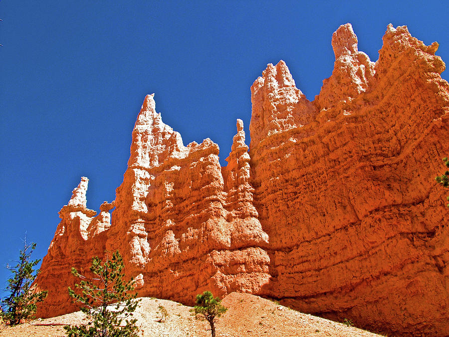Queens Garden Trail in  Bryce National Park, Utah #3 Photograph by Ruth Hager