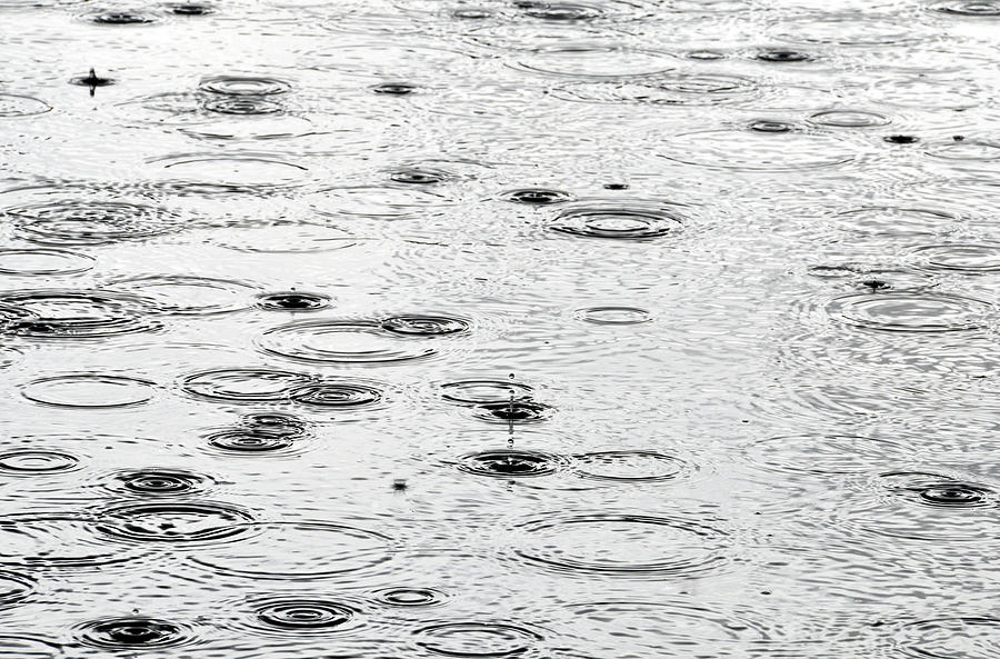 Rain #3 Photograph by Dutourdumonde Photography