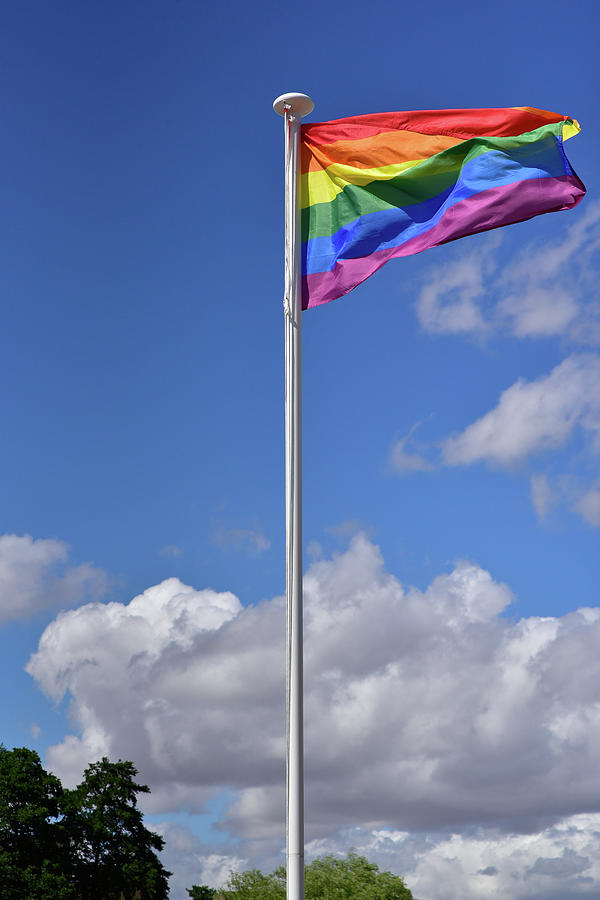 rainbow gay pride scarf