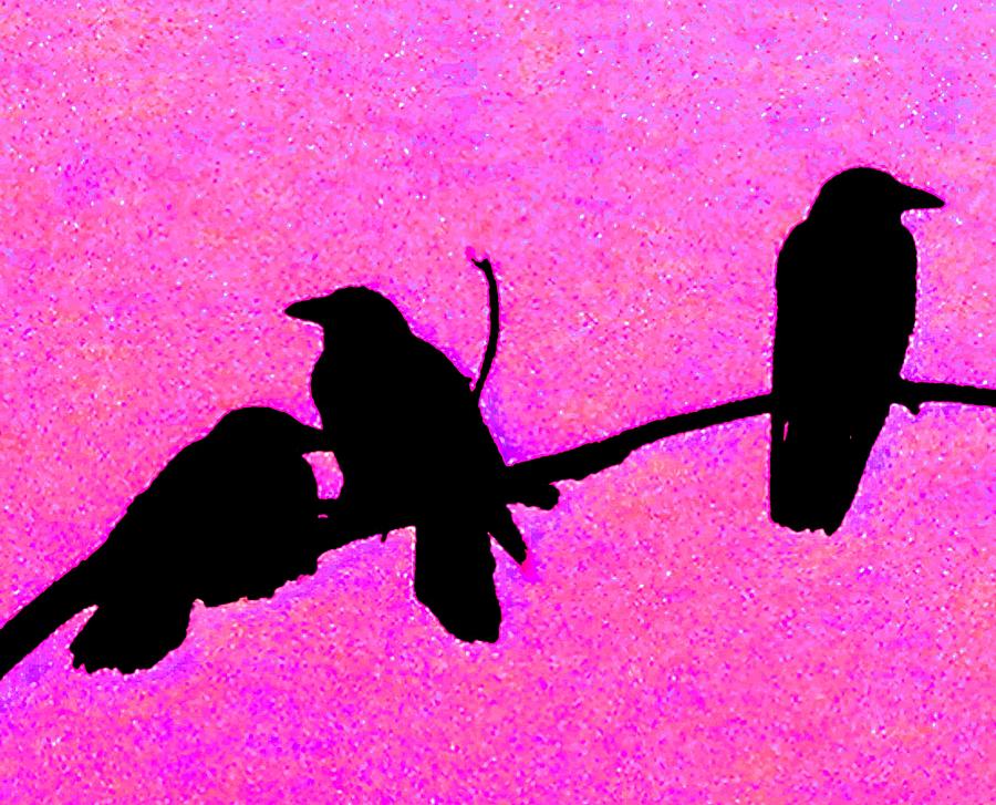 Raven Digital Art -  Ravens in Pink by Kathryn Laughing Waters