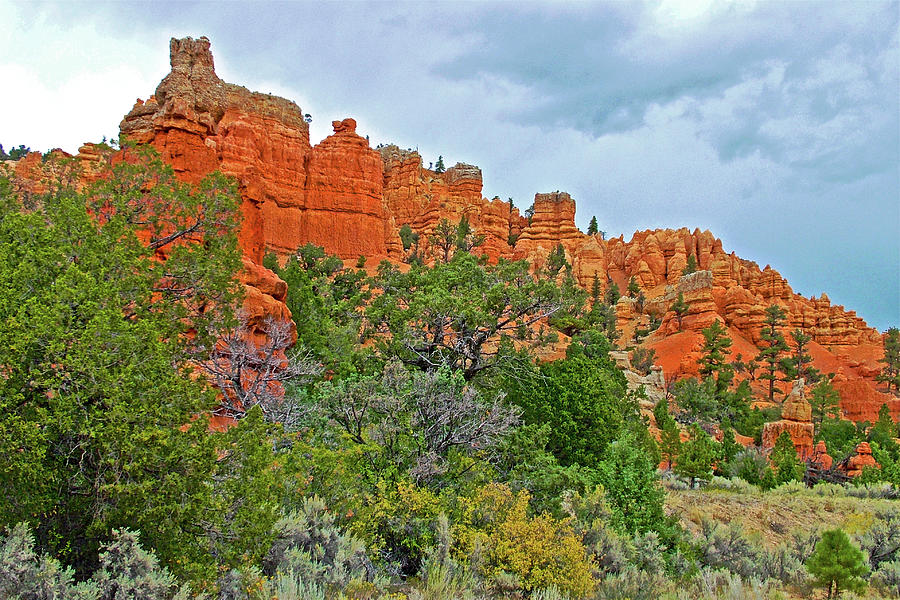 Red Canyon Biking and Hiking Trail in Dixie National Forest, Utah #1 Photograph by Ruth Hager