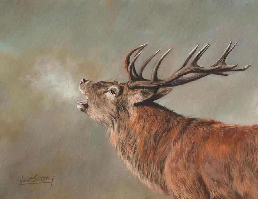 Deer Painting - Red Deer Stag #3 by David Stribbling