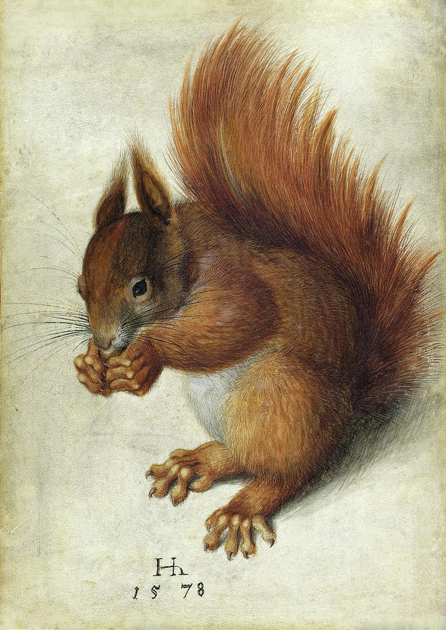 Red Squirrel #3 Painting by Hans Hoffmann
