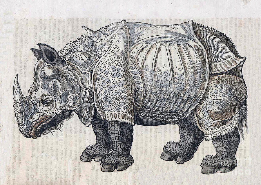 Rhinoceros, Historiae Animalium, 16th #3 Photograph by Science Source
