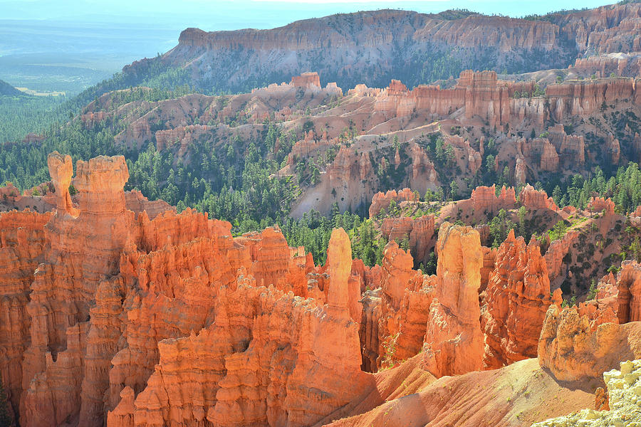 Rim Trail Inspiration #4 Photograph by Ray Mathis