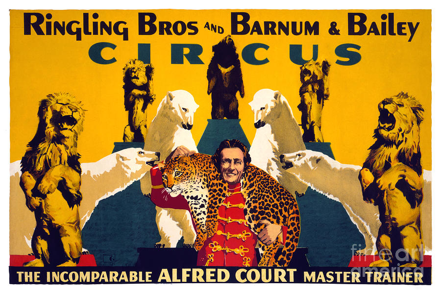 Vintage Painting - Ringling Brothers and Barnum and Bailey Vintage Poster #3 by Vintage Treasure