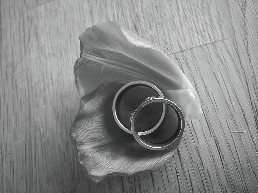 Tulip Photograph - Rings #3 by Cesar Vieira