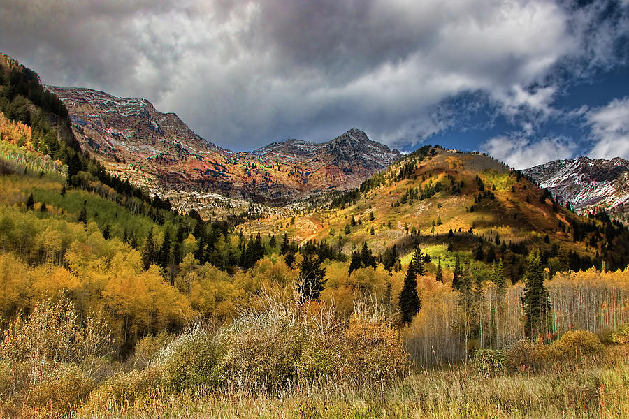 Rocky Mountain Fall #3 Photograph by Mark Smith