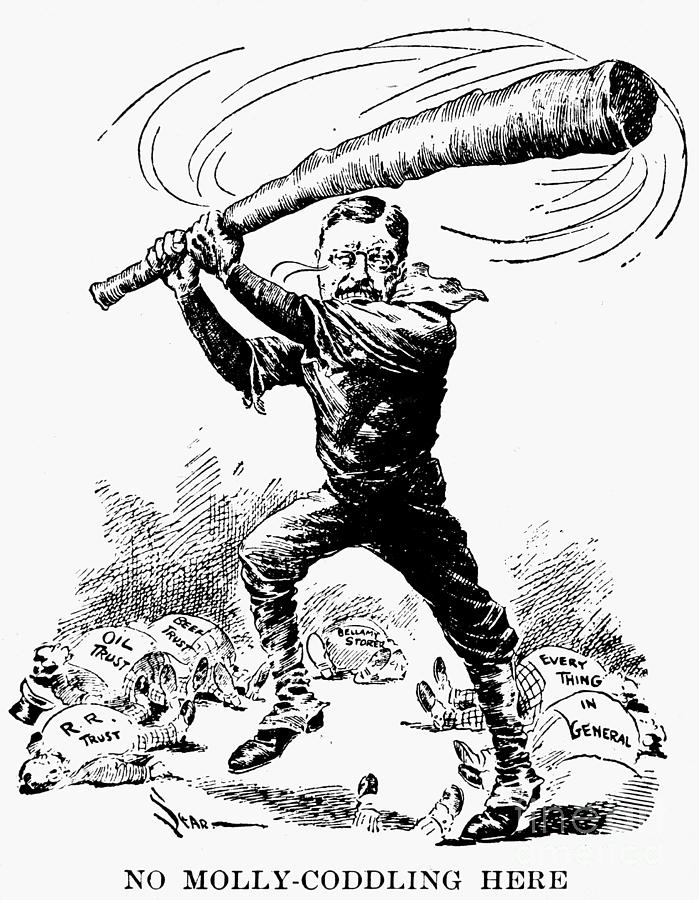 Roosevelt Cartoon, 1904 #2 Drawing by Granger