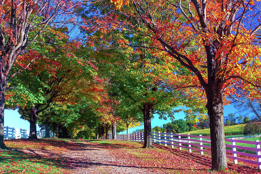 Round Hill Farm Photograph by Tammy McGogney - Fine Art America