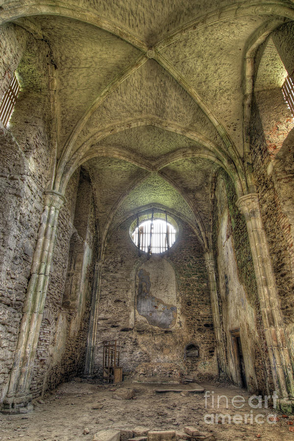 Ruins of the Augustinian Monastery, Pivon, Czech republic  #3 Photograph by Michal Boubin