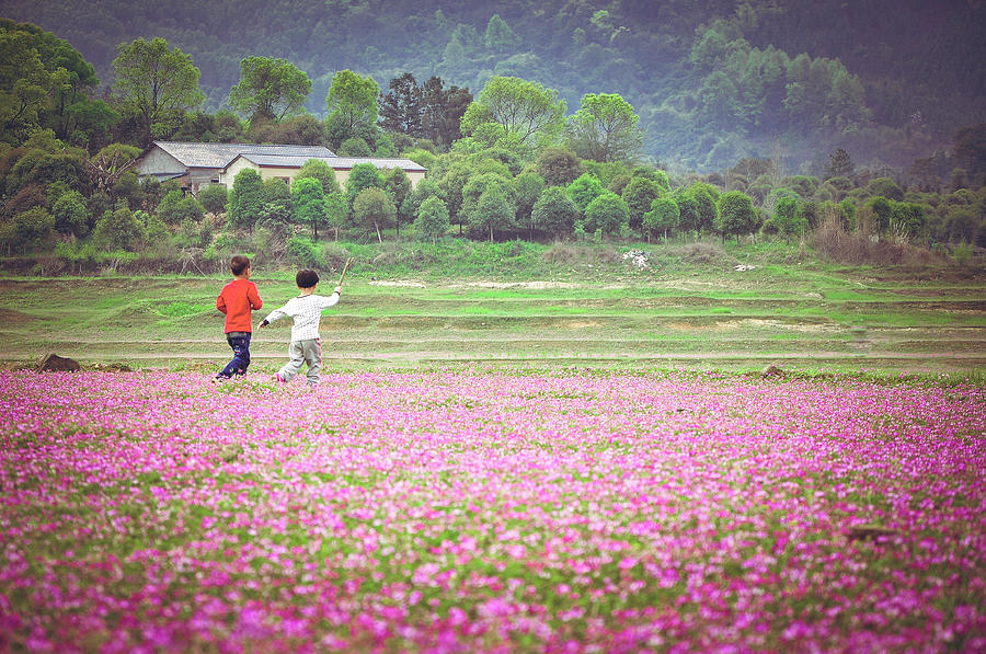 Rural scenery in spring #3 Photograph by Carl Ning