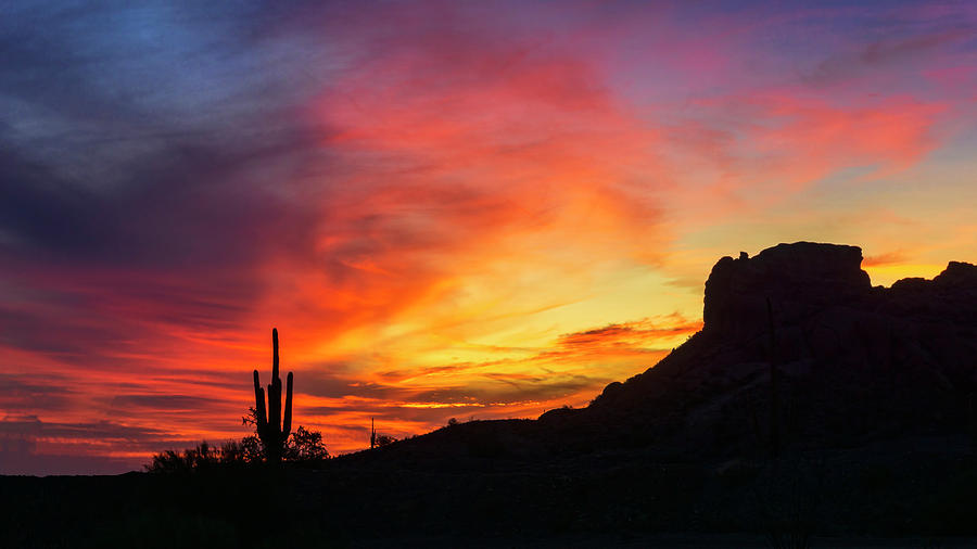 Saguaro Silhouette Sunset  #4 Photograph by Saija Lehtonen
