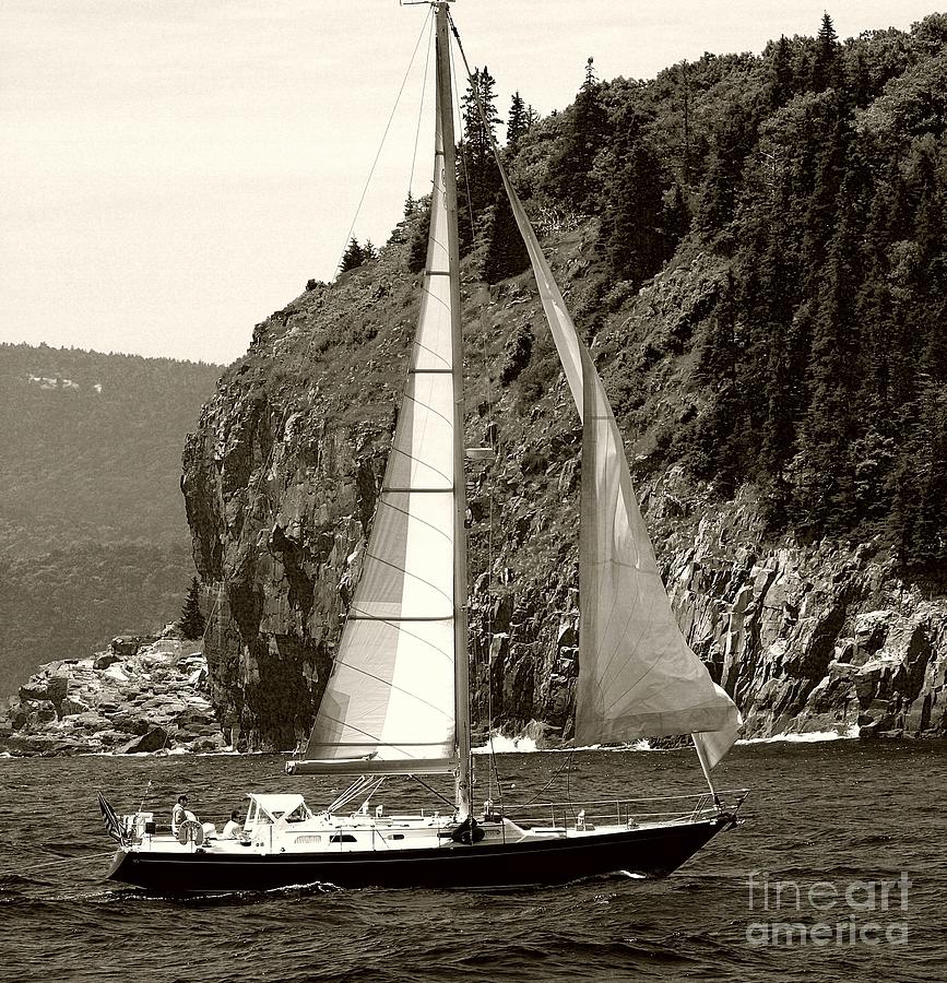 Sailing #3 Photograph by Raymond Earley