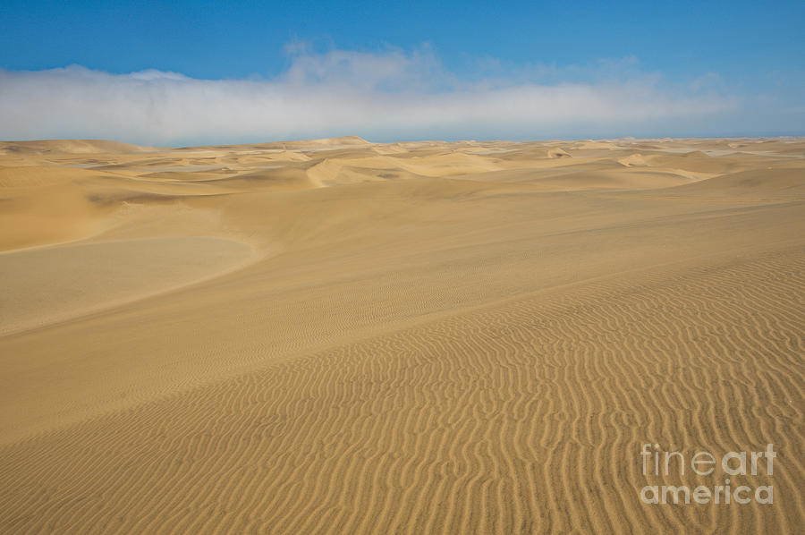 Sand Dunes In Namib Desert #3 Photograph by Francesco Tomasinelli
