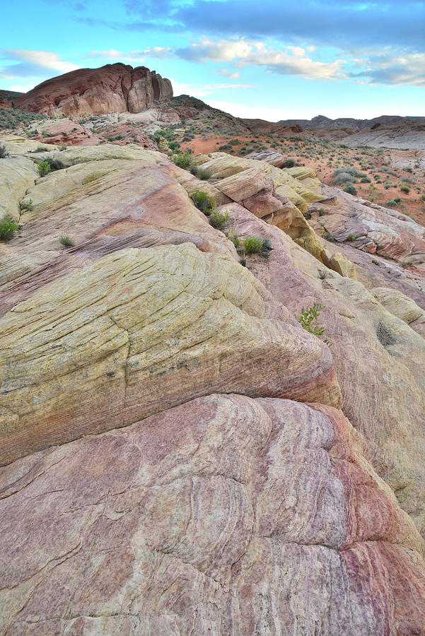 Sandstone Color in Valley of Fire #1 Photograph by Ray Mathis