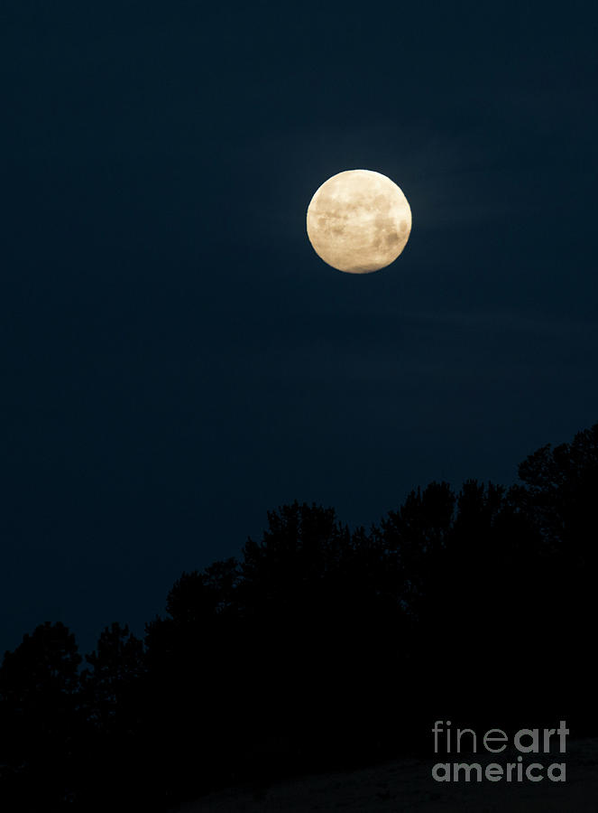 Sangre de Cristo Mountain Moonset #3 Photograph by Steven Krull