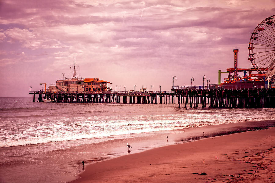 Santa Monica Pier Collection- 7/36 Photograph by Gene Parks