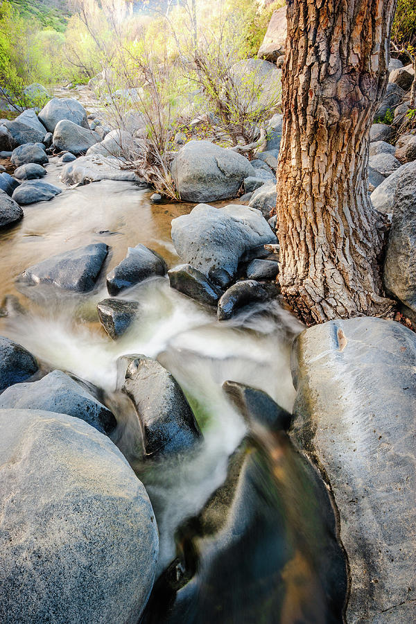 Santa Ysabel Creek #2 Photograph by Alexander Kunz