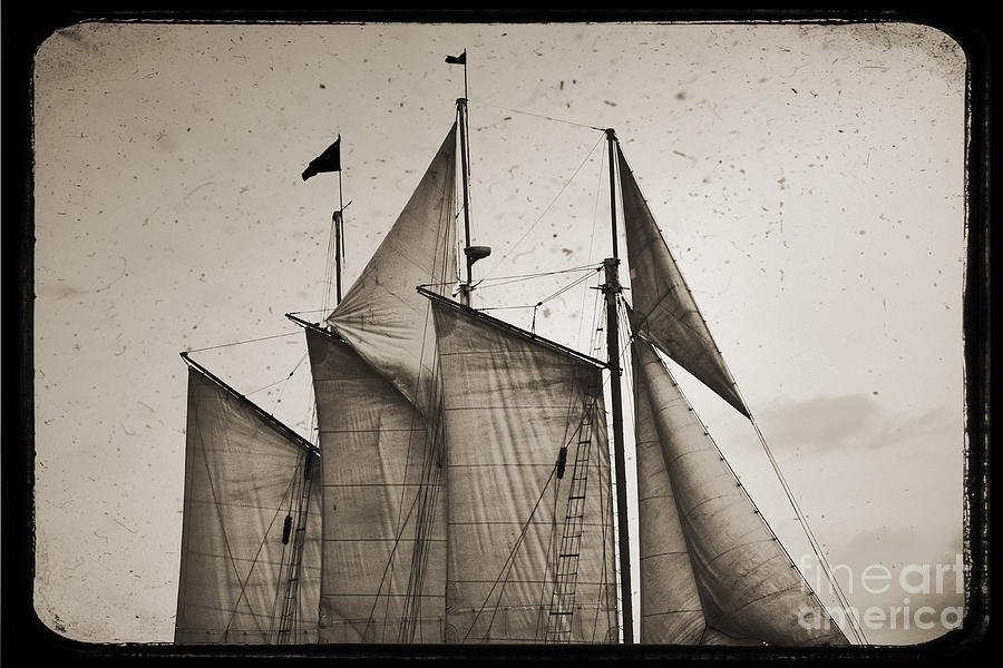 Schooner Pride Photograph - Schooner Pride Tall Ship Charleston SC #3 by Dustin K Ryan