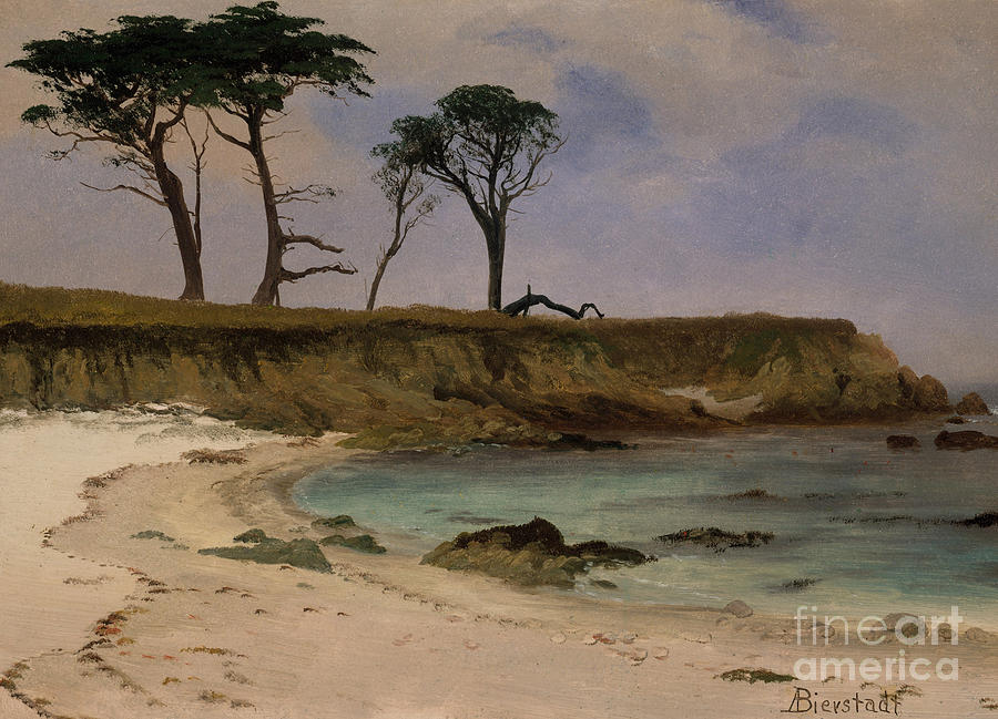 Sea Cove Painting by Albert Bierstadt