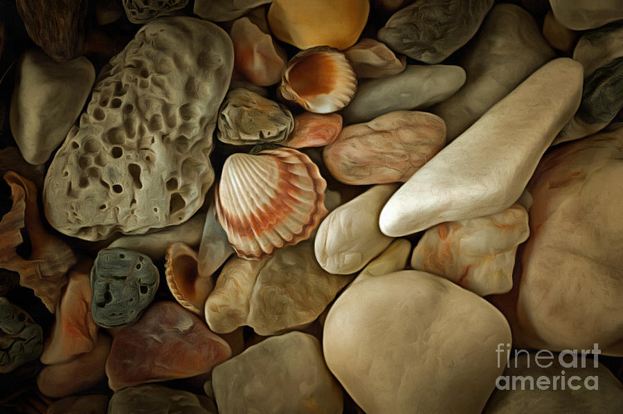 Sea Pebbles With Shells #3 Photograph by Michal Boubin