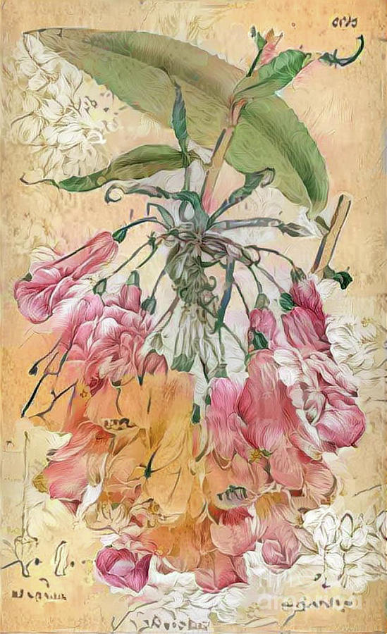 Shabby Chic Botanical Flowers #3 Digital Art by Amy Cicconi
