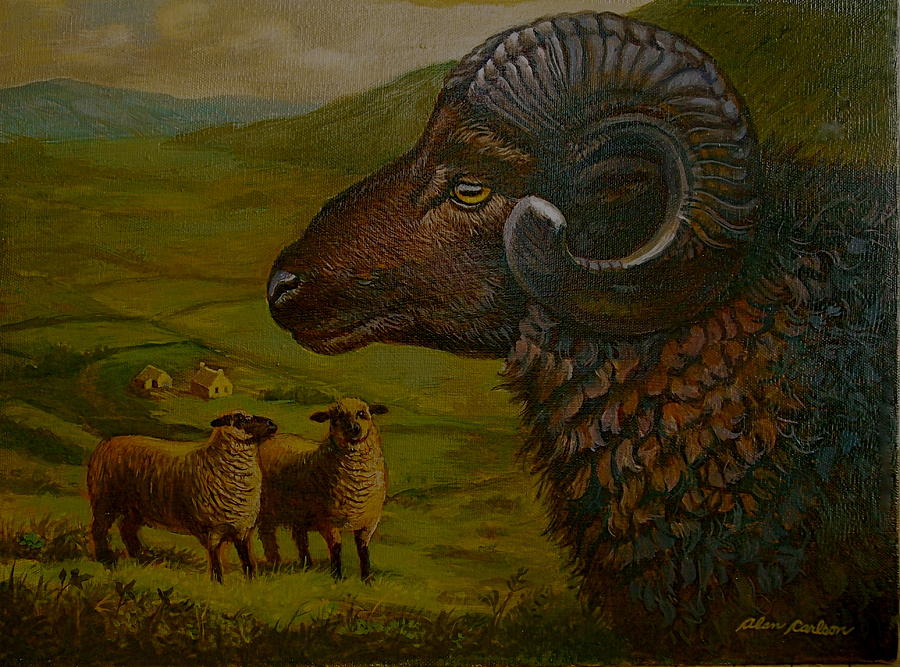 3 Sheep in Ireland Painting by Alan Carlson Fine Art America