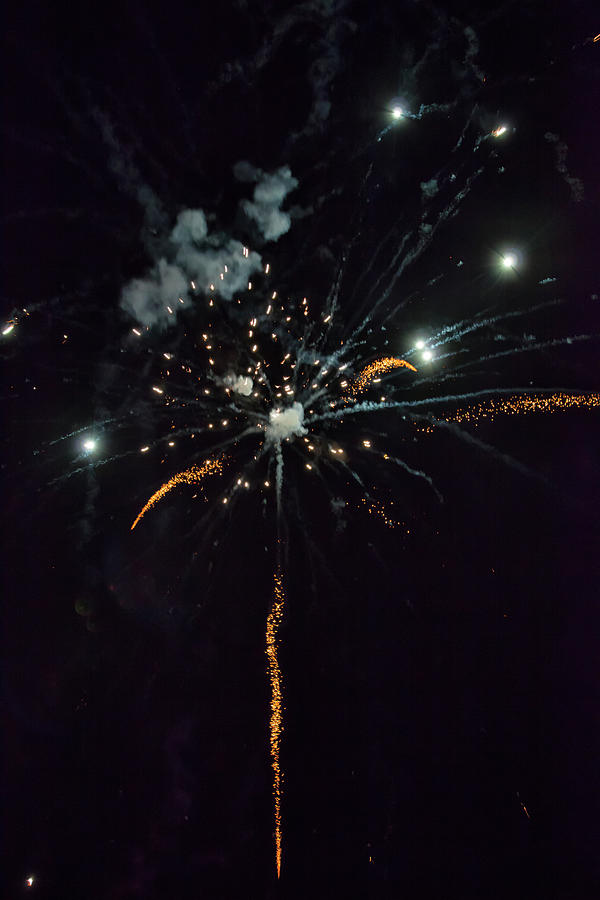Shining Colorful Firework Over A Dark Night Sky #3 Photograph by Gina Koch
