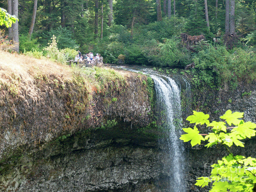 Silver Falls State Park #3 Photograph by Rod Jones
