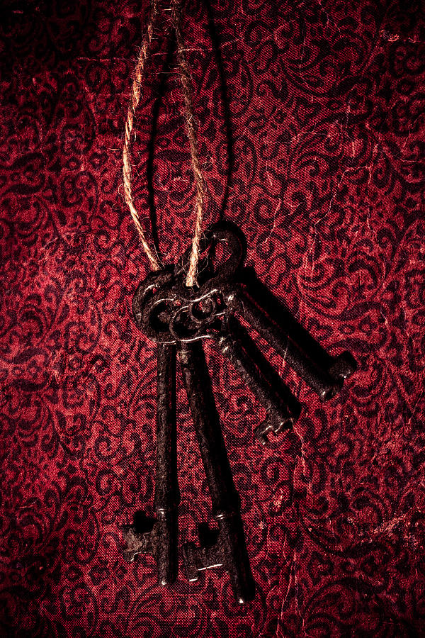 Skeleton Keys #3 Photograph by Erin Cadigan