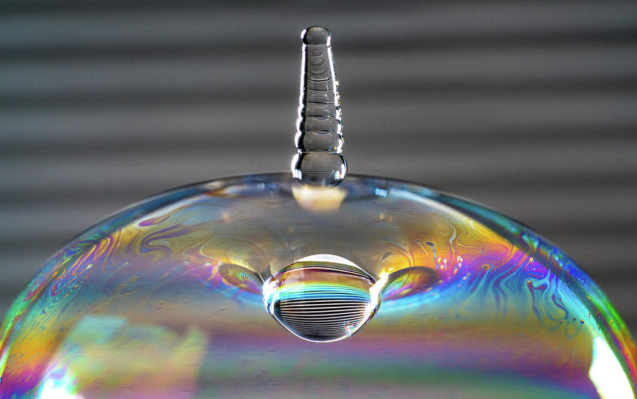 Soap Bubble Drop by Max Neivandt Soap Bubble Drop by Max Neivandt