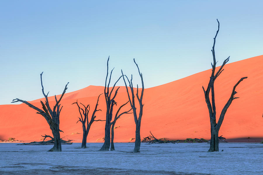 Sossusvlei - Namibia #3 Photograph by Joana Kruse