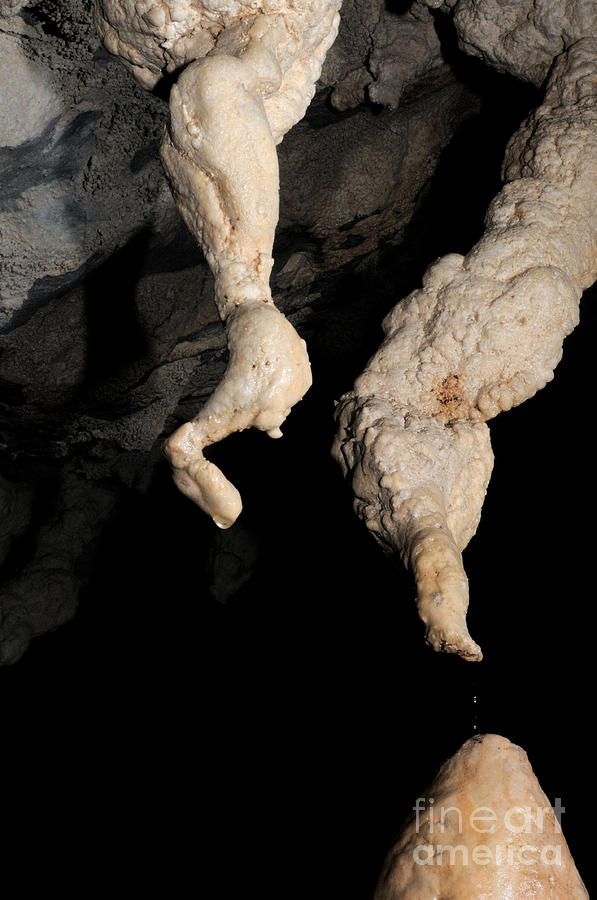 Speleothems In Lagangs Cave #3 Photograph by Fletcher & Baylis