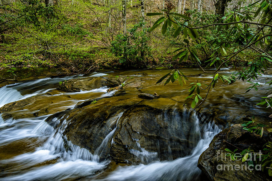 Spring Photograph - Spring along Birch River #3 by Thomas R Fletcher