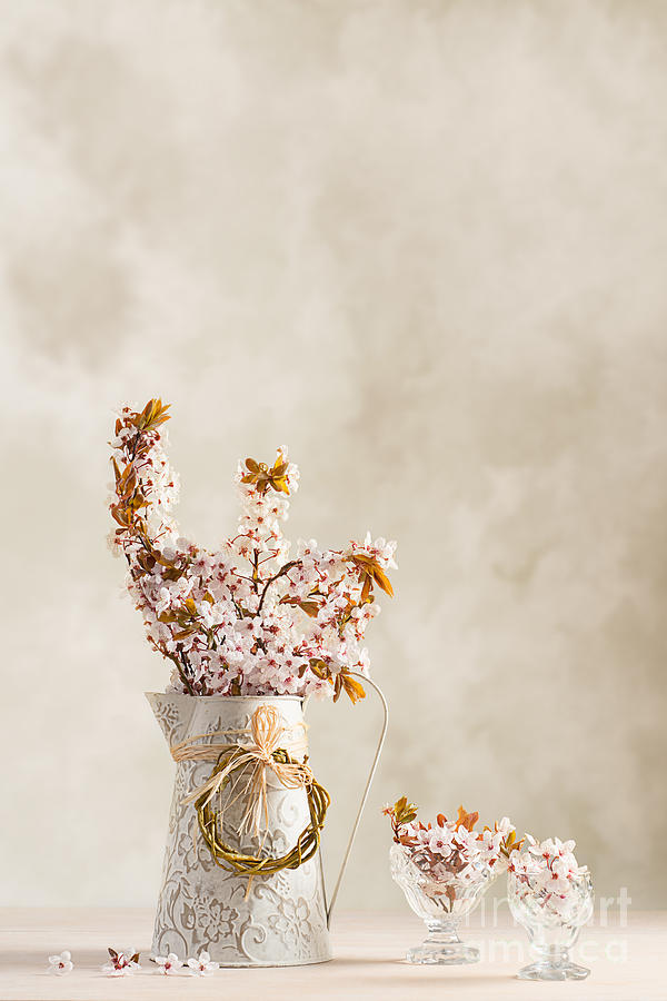 Spring Photograph - Spring Blossom #3 by Amanda Elwell