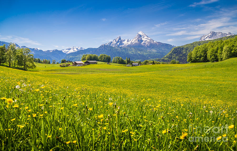 Springtime in the Alps #4 Photograph by JR Photography