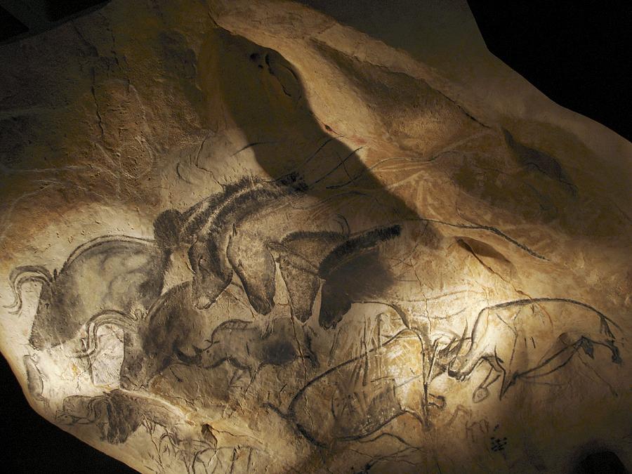 Stone-age Cave Paintings, Chauvet, France Photograph by Javier Truebamsf