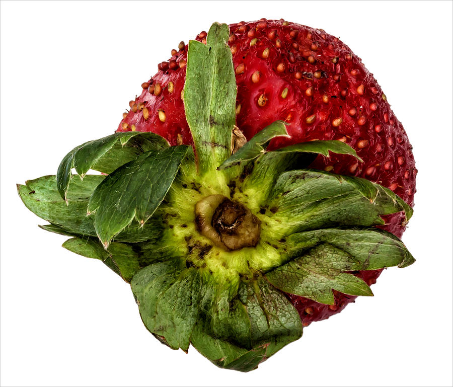 Strawberry #3 Photograph by Robert Ullmann