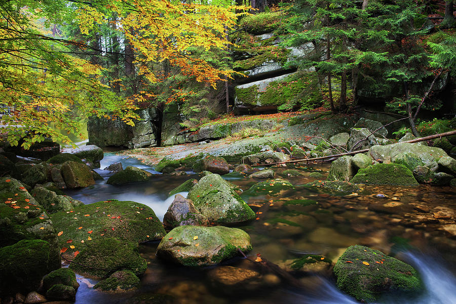Stream in Autumn Mountain Forest #3 Photograph by Artur Bogacki