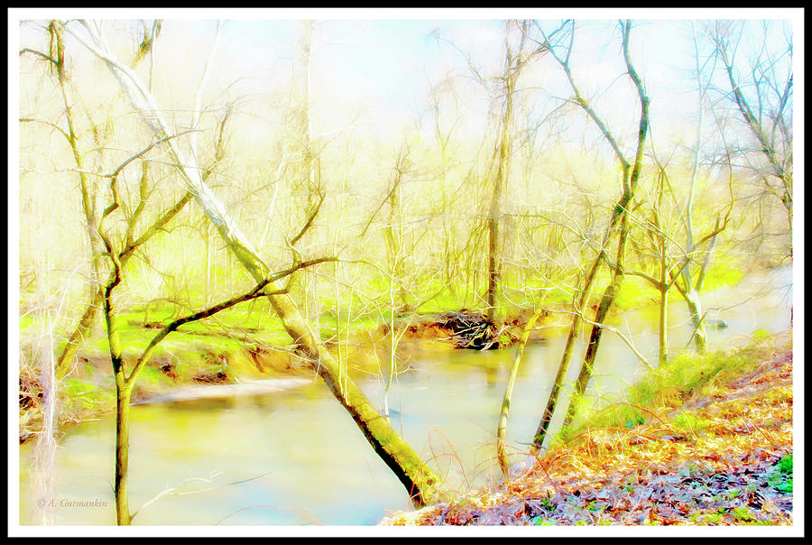 Stream in Spring, Montgomery County, Pennsylvania #3 Digital Art by A Macarthur Gurmankin