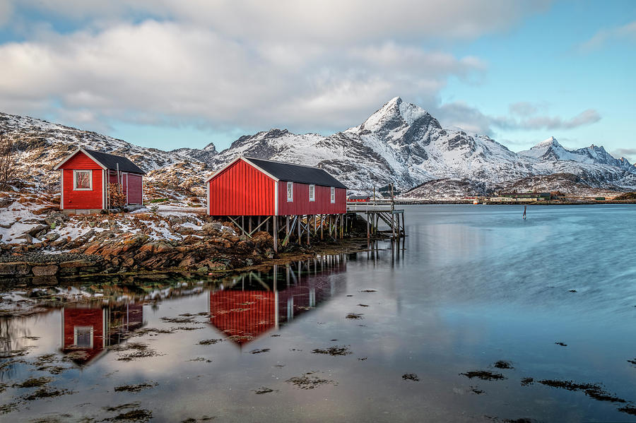 Sund, Lofoten - Norway #3 Photograph by Joana Kruse