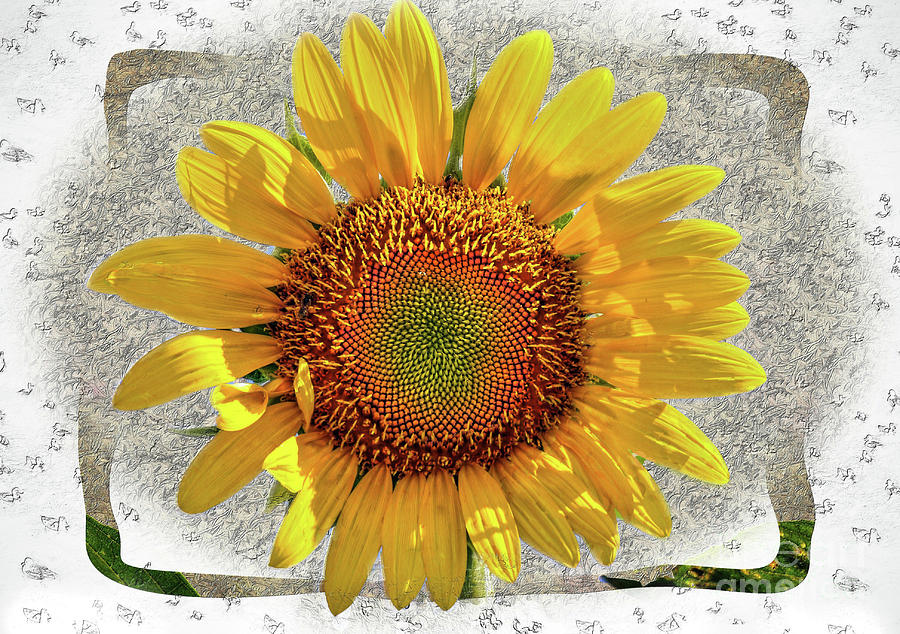 Sunflower #2 Digital Art by Savannah Gibbs