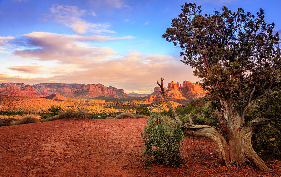 Sunset at Cathedral Rock #3 Photograph by Alexey Stiop