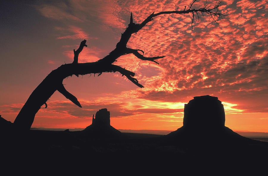 Sunset In Monument Valley Photograph
