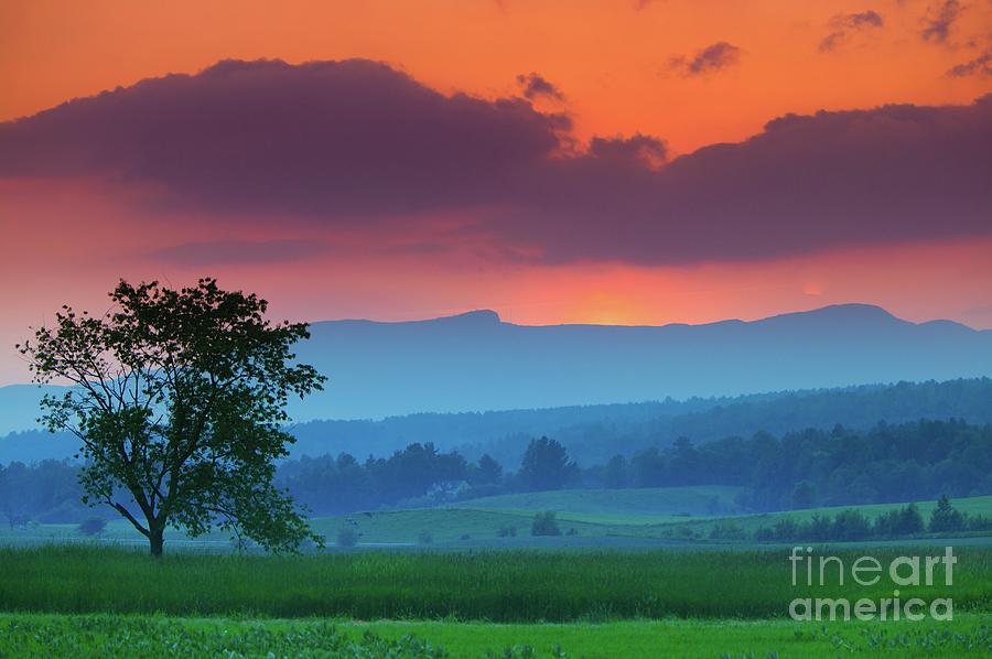 Cow Photograph - Sunset over Mt. Mansfield in Stowe Vermont HD by Don Landwehrle