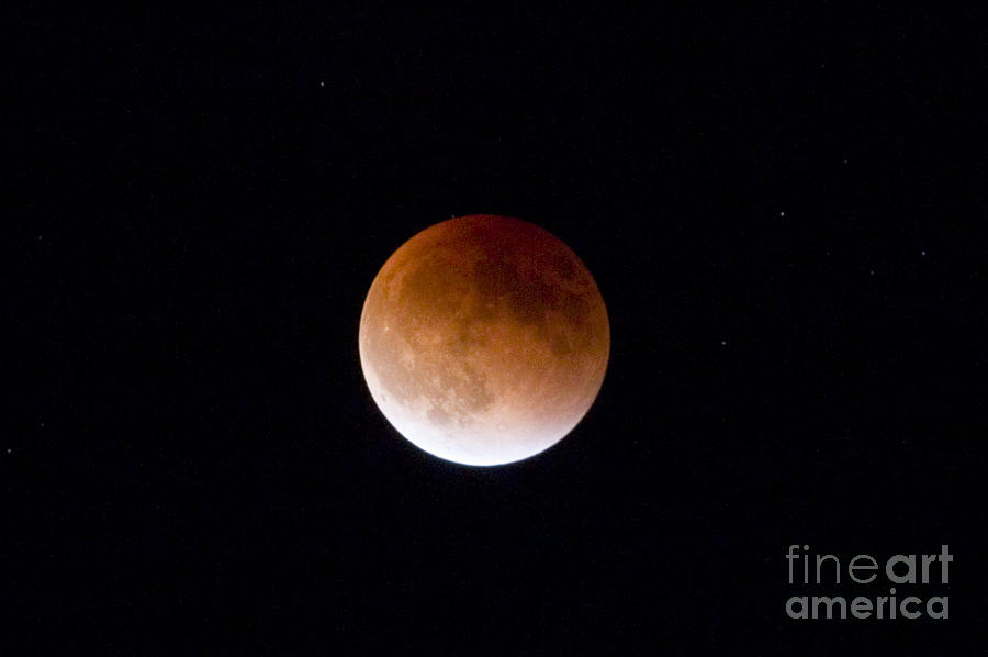 Super Blood Moon #4 Photograph by Steven Krull