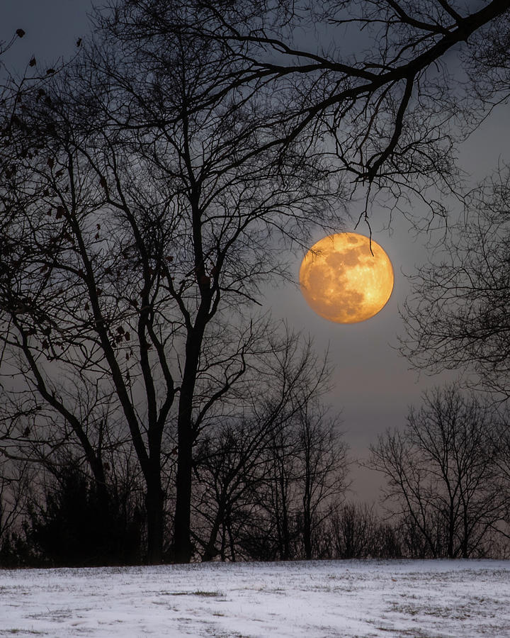 Super Blue Moon Rising Photograph by William Christiansen